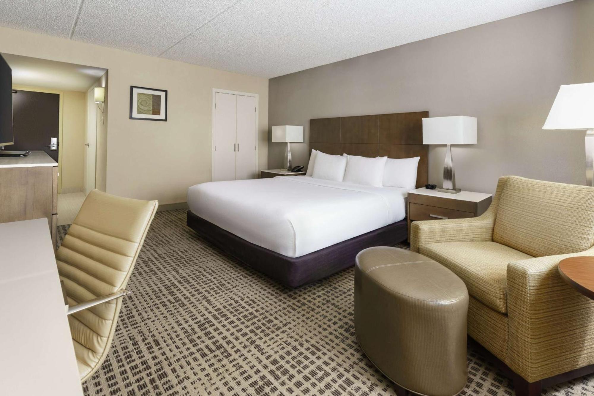 King Room Mobility or Hearing Accessible Bath Tub,1552163848:JPEG