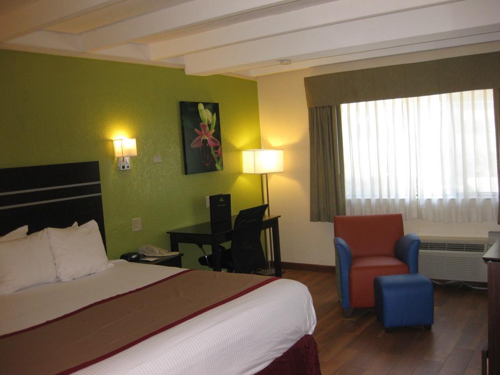 Kamer met Kingsize Bed - Rookvrij
